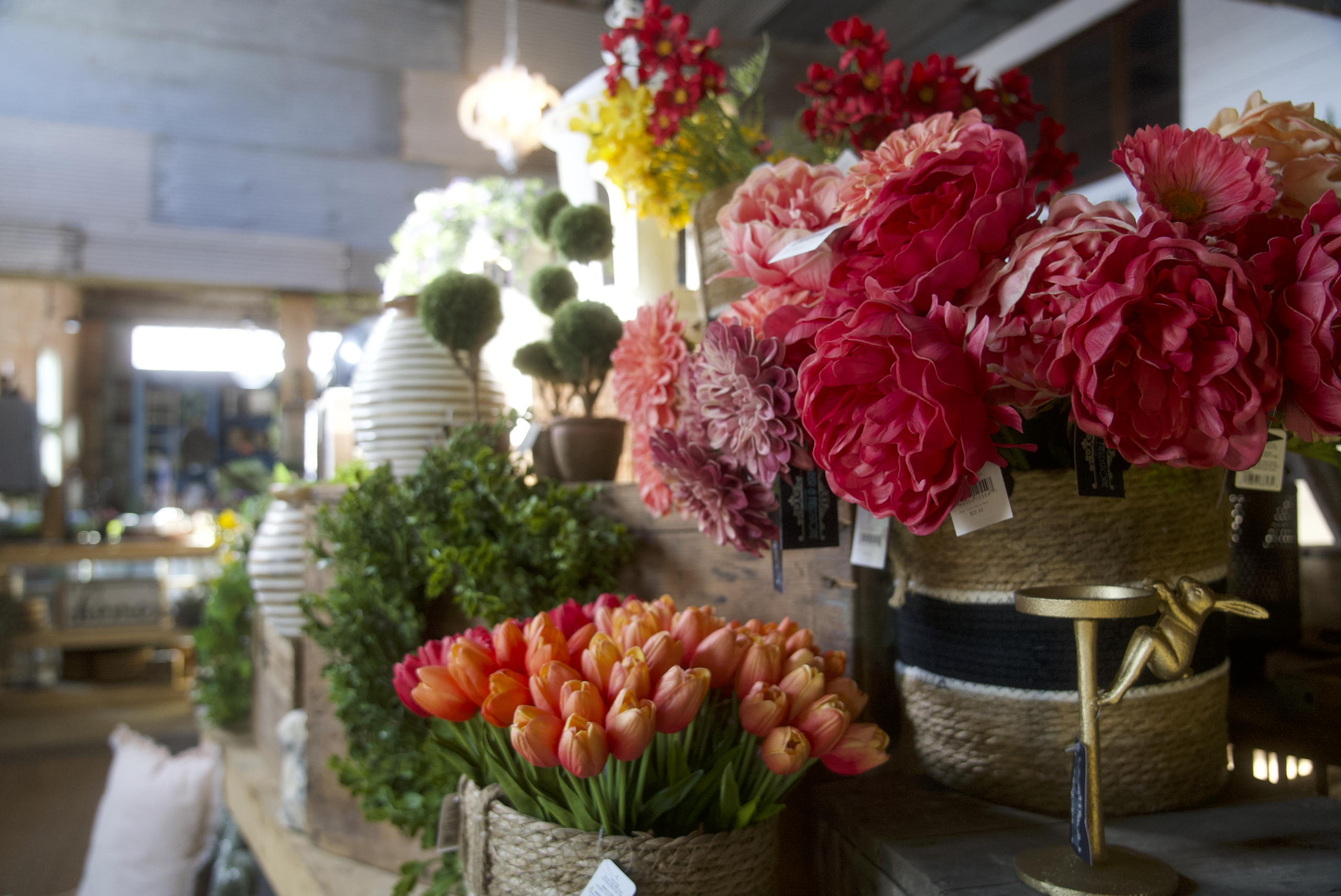 flowers in the store