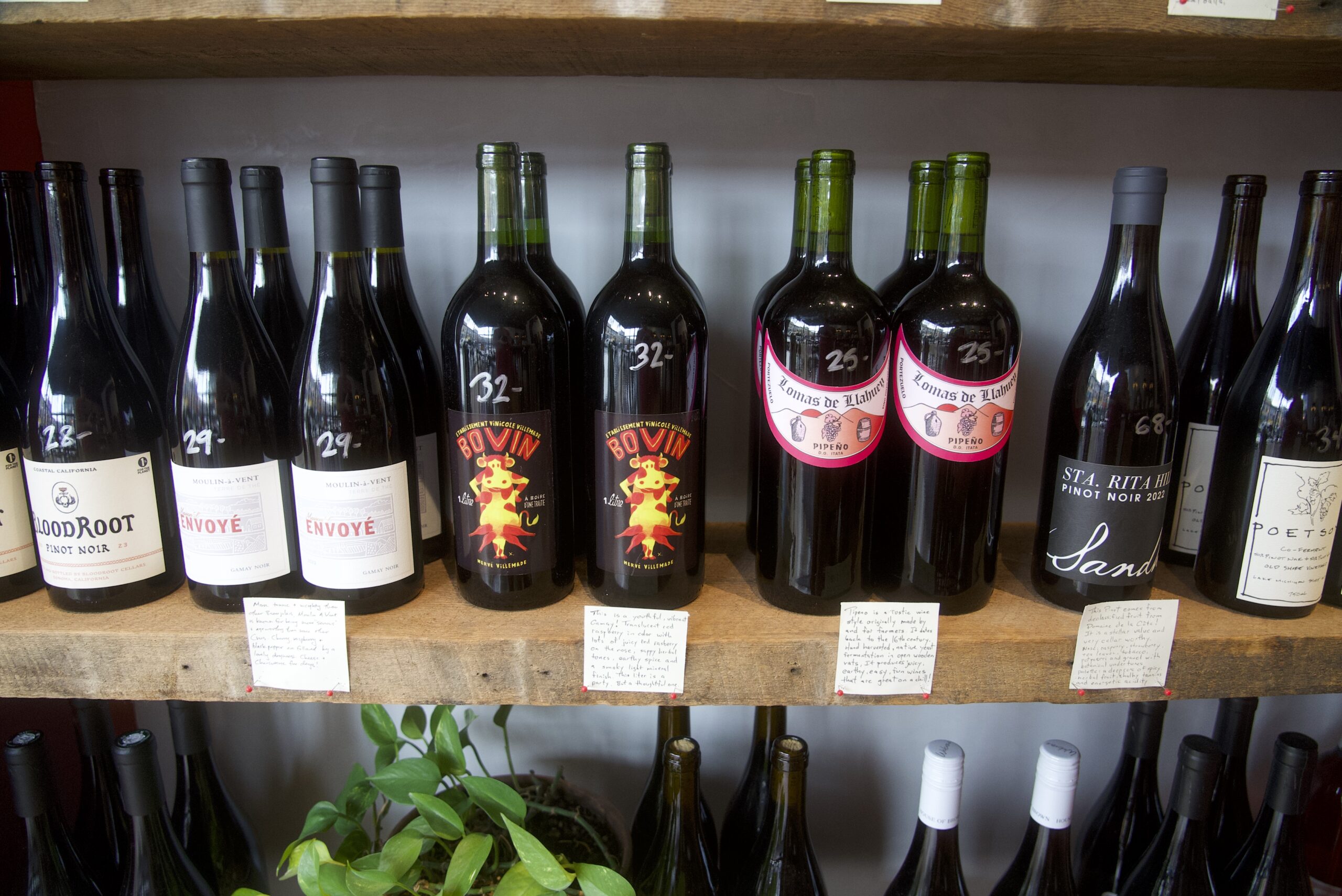 Wine on shelf